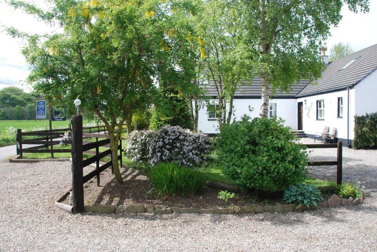 Eskview Farm Bed & Breakfast Montrose Exterior foto